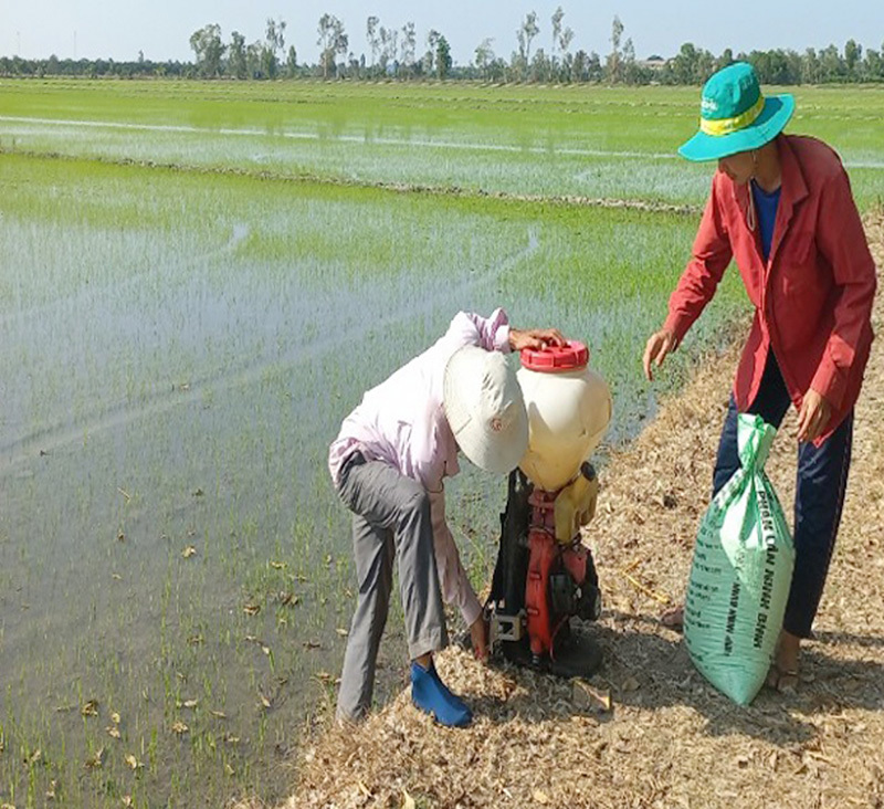 Doanh nhân Đồng Tháp quyết tâm làm ăn thắng lợi trong năm Rồng - Ảnh 1