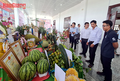 Kết nối tạo đầu ra cho nông sản được ngành nông nghiệp tỉnh đẩy mạnh. Ảnh: Hoài Thu