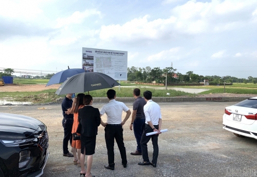 Tại Hà Nội và TP. Hồ Chí Minh, đất nền và đất dự án ghi nhận mức độ quan tâm tăng mạnh.