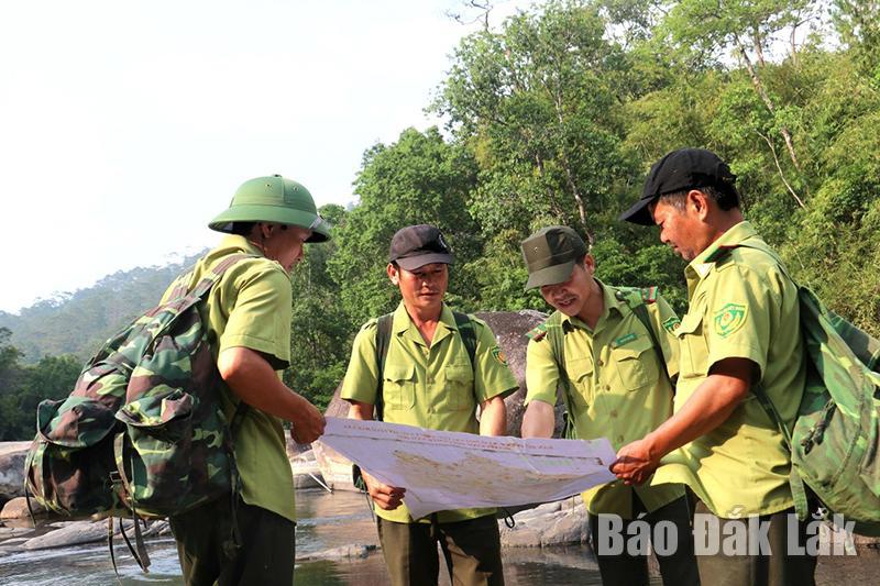 Cán bộ, nhân viên Vườn Quốc gia Chư Yang Sin tuần tra quản lý, bảo vệ rừng. Ảnh: Vạn Tiếp