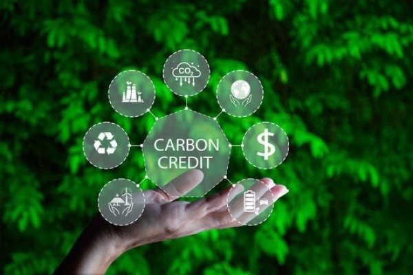 Thị trường carbon được coi là công cụ chính để giảm phát thải khí nhà kính và đang phát triển nhanh chóng về thị phần giao dịch cũng như các tổ chức tham gia.