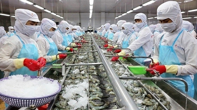 Đề nghị bãi bỏ hạn ngạch đối với tôm Việt Nam nhập khẩu vào Hàn Quốc để tăng sức cạnh tranh. Nguồn: ITN