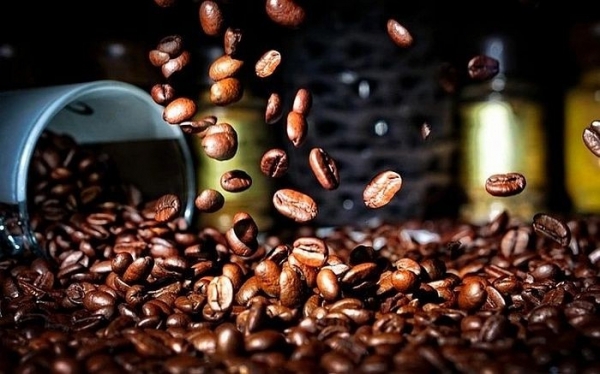 Giá cà phê Robusta tăng cao nhất lịch sử, chưa có dấu hiệu ngừng