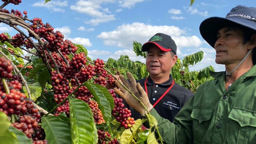 6 tháng đầu niên vụ 2023/2024, Việt Nam đã xuất khẩu hơn 956.000 tấn cà phê, đạt hơn 3 tỷ USD (Ảnh: ITN)  