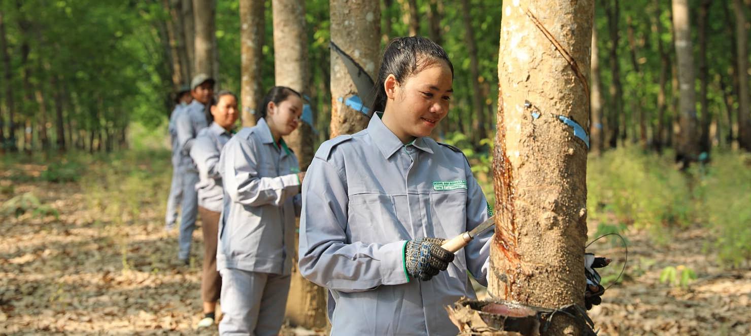 THACO AGRI đẩy mạnh tuyển dụng c&ocirc;ng nh&acirc;n tại c&aacute;c địa phương thuộc L&agrave;o, Campuchia.