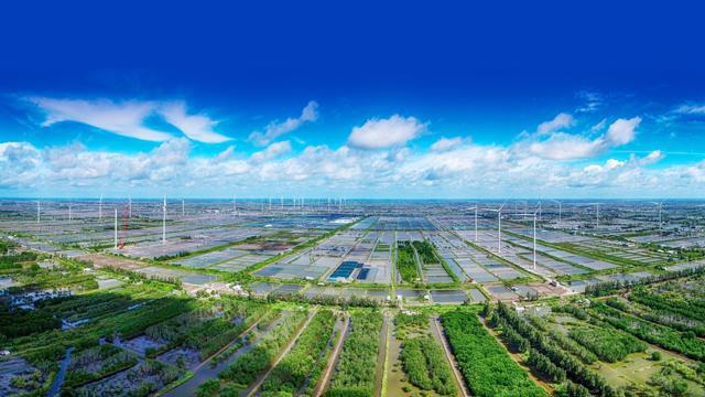 Ảnh minh họa. Nguồn: Internet