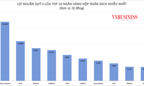 Tổng cộng 10 ngân hàng tư nhân nộp ngân sách lớn nhất đạt hơn 73.000 tỷ đồng lợi nhuận trước thuế trong nửa đầu năm 2024.