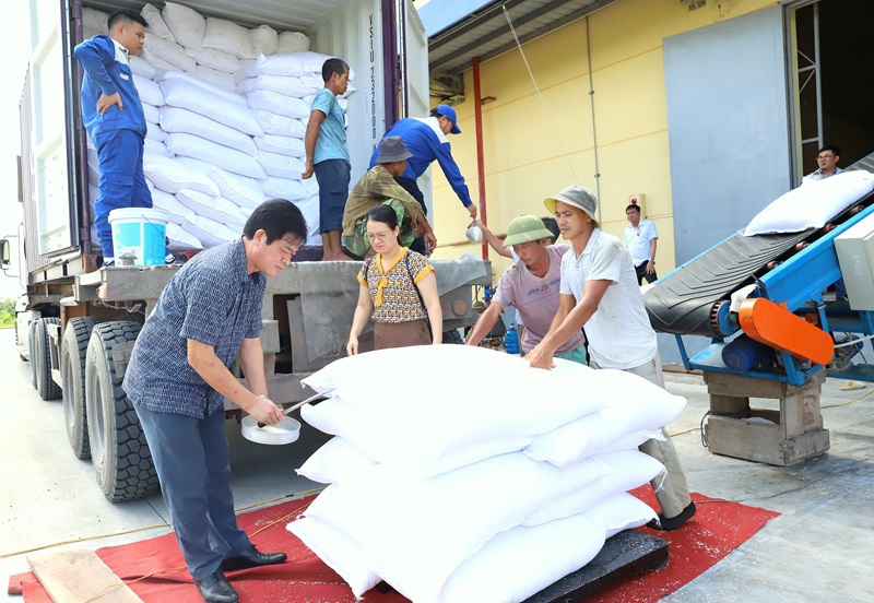 Qua hoạt động kiểm tra, gi&aacute;m s&aacute;t g&oacute;p phần n&acirc;ng cao &yacute; thức, tr&aacute;ch nhiệm của c&aacute;n bộ, c&ocirc;ng chức, người lao động trong ng&agrave;nh DTNN trong quản l&yacute; chất lượng gạo DTQG. Ảnh: Văn Trường.