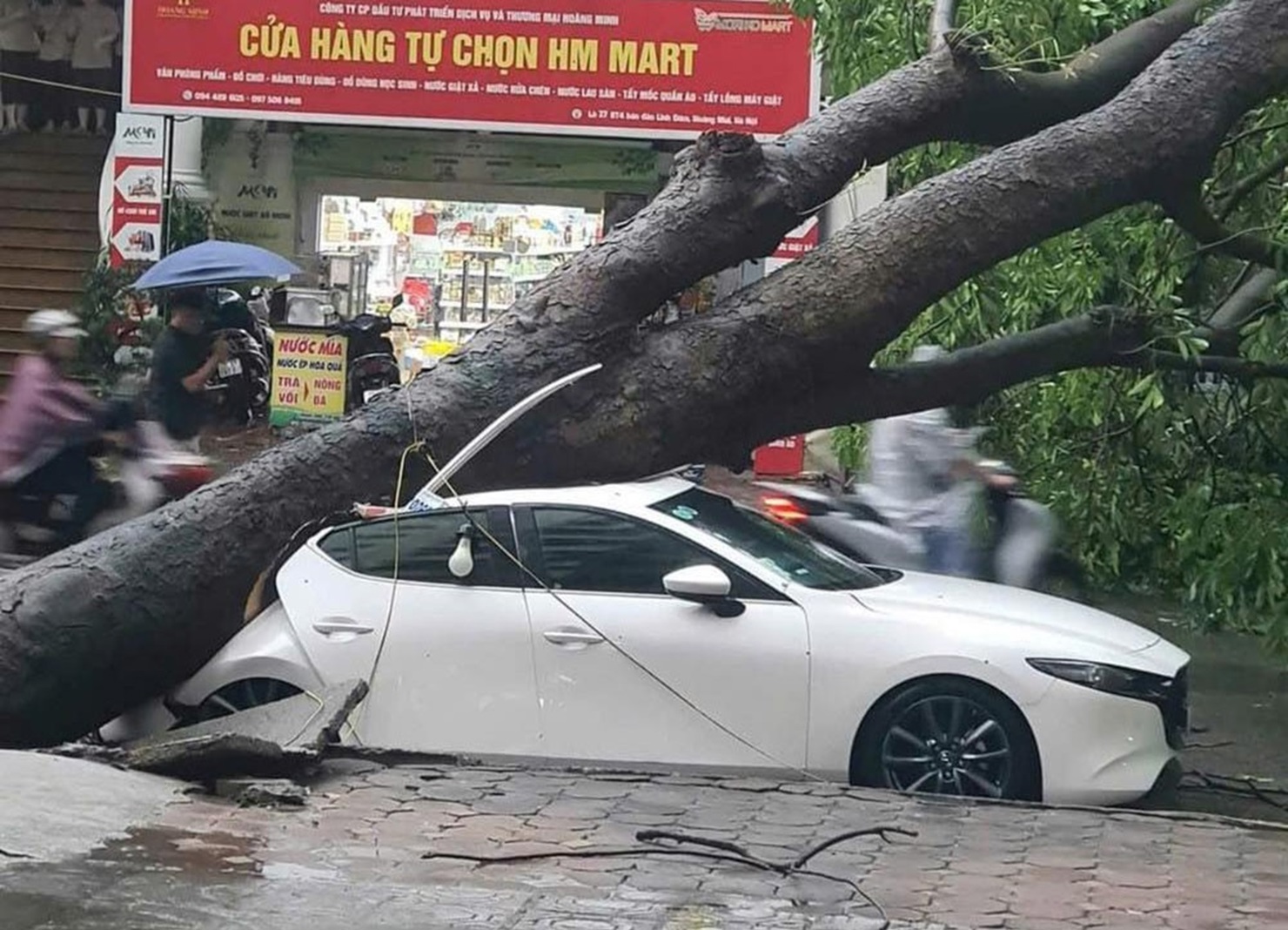 Bão số 3 đã gây thiệt hại nghiêm trọng tại nhiều tỉnh thành phía Bắc Việt Nam, trong đó không ít trường hợp cây xanh đổ đè bẹp, hỏng ô tô 