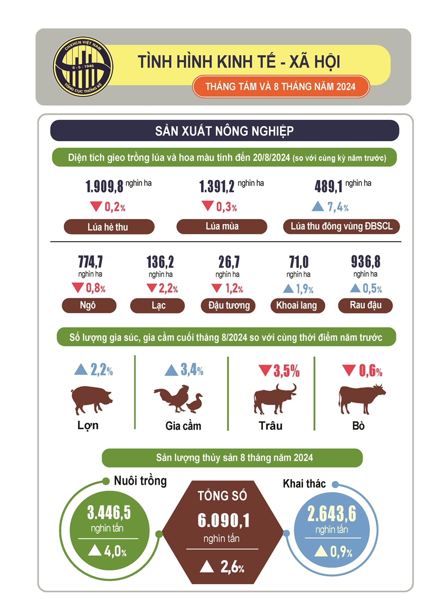 Tình hình kinh tế - xã hội tháng Tám và 8 tháng năm 2024 - Ảnh 2