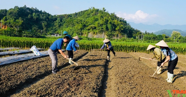 Nông dân huyện Bảo Thắng, Lào Cai khắc phục hậu quả thiên tai, chuẩn bị đất gieo vụ mới. Ảnh: Tuấn Hùng