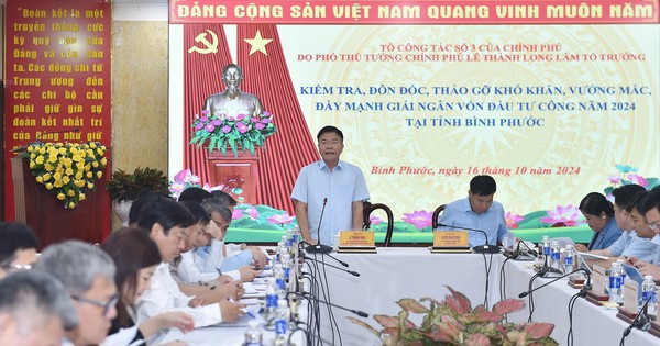 Phó Thủ tướng Lê Thành Long phát biểu tại buổi làm việc. Ảnh: VGP/Đức Tuân