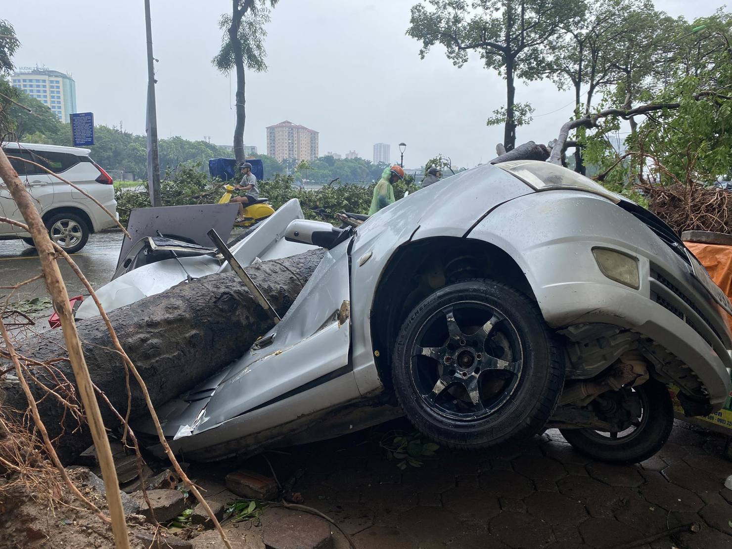 Ch&iacute;nh phủ, Bộ T&agrave;i ch&iacute;nh y&ecirc;u cầu doanh nghiệp bảo hiểm r&agrave; so&aacute;t thiệt hại, thực hiện tạm ứng, giải quyết bồi thường nhanh ch&oacute;ng, đầy đủ theo cam kết bảo hiểm.