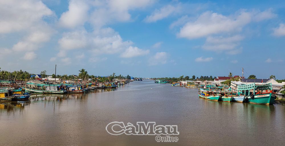 Khi khu neo đậu tàu thuyền và cảng cá hoàn thành đưa vào sử dụng giúp ngư dân thuận tiện trao đổi, mua bán thuỷ hải sản. Ảnh: Trần Thể