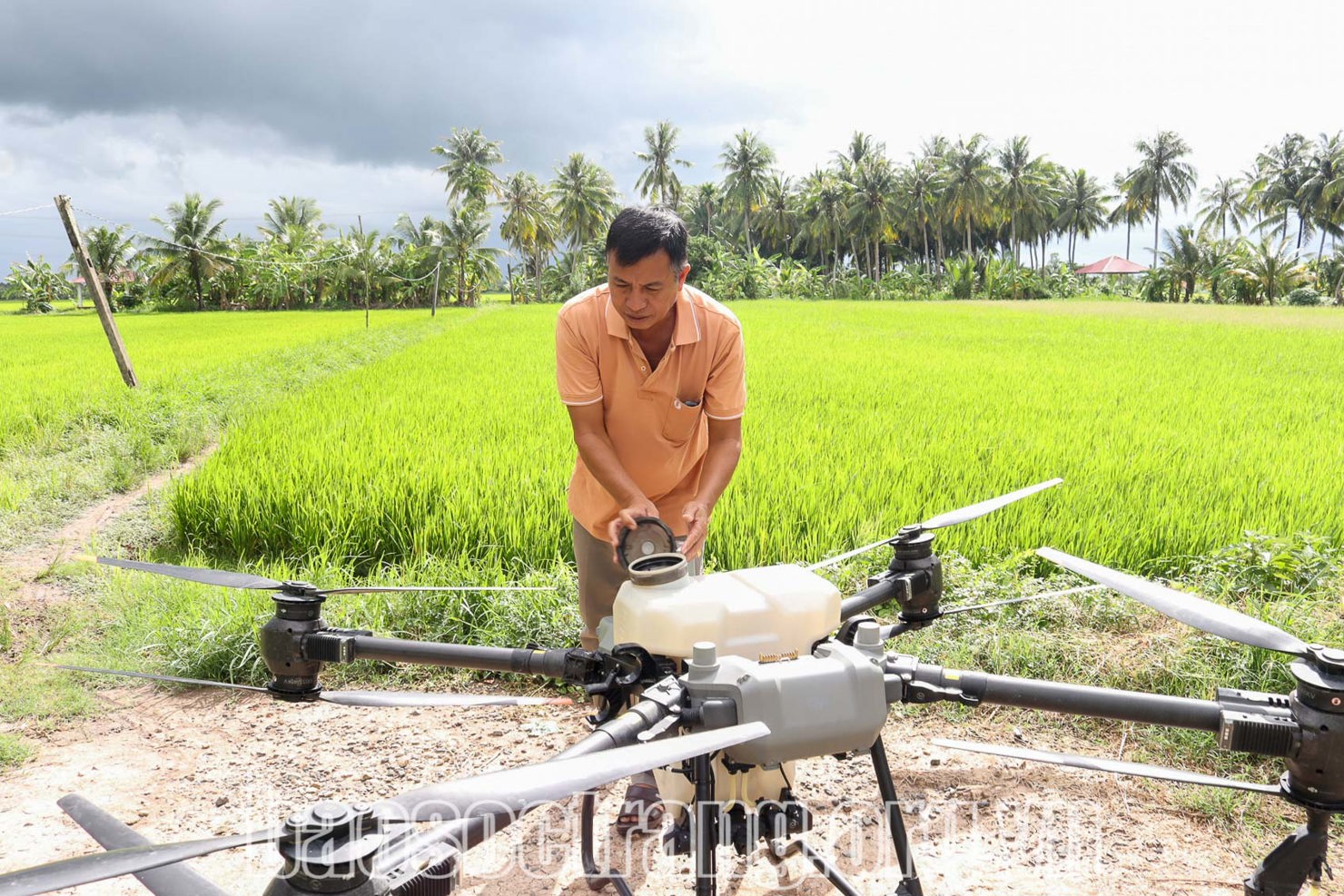 &Ocirc;ng Hồ Thanh Li&ecirc;m (tỉnh S&oacute;c Trăng) cho biết, sử dụng m&aacute;y bay kh&ocirc;ng người l&aacute;i gi&uacute;p giảm chi ph&iacute; sản xuất m&ugrave;a vụ, tăng lợi nhuận sau thu hoạch l&uacute;a. Ảnh: Th&uacute;y Liễu