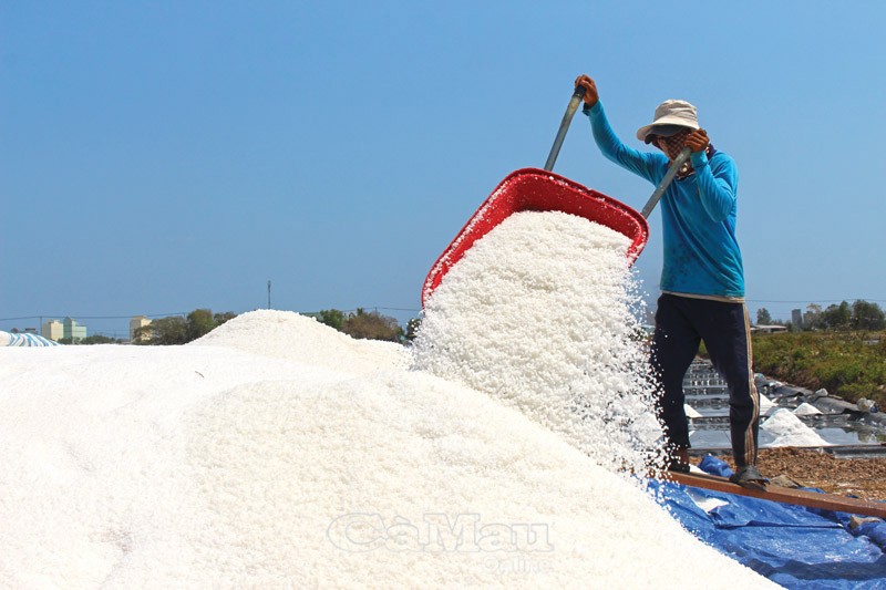 Mua muối đầu năm. Ảnh minh họa: B&aacute;o C&agrave; Mau. &nbsp;