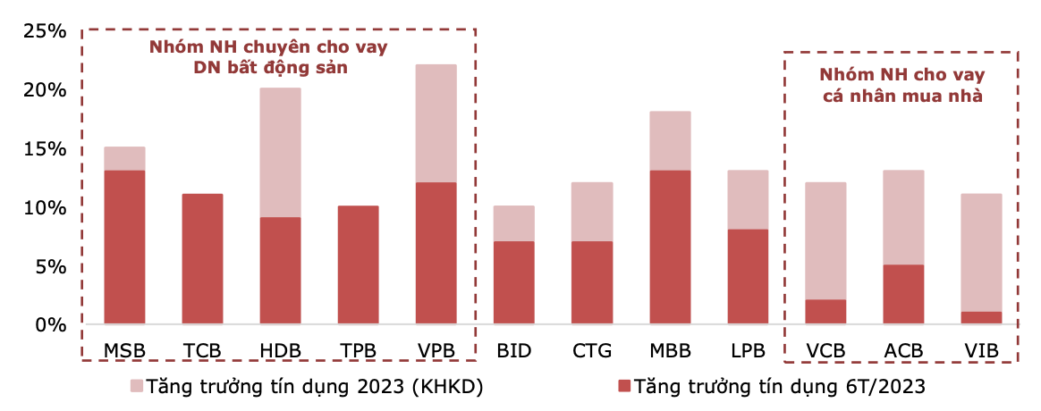 Rủi ro tập trung tín dụng tại các ngân hàng thương mại Việt Nam: Thực trạng và giải pháp - Ảnh 4