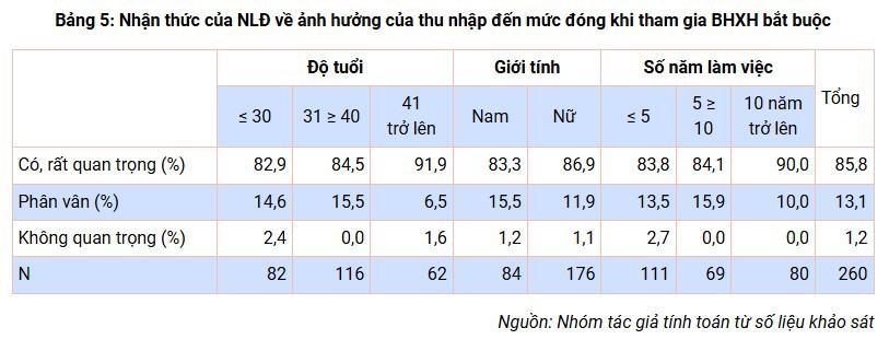 Nhận thức của người lao động trong các doanh nghiệp vừa và nhỏ ngoài Nhà nước ở Hà Nội về bảo hiểm xã hội bắt buộc - Ảnh 5