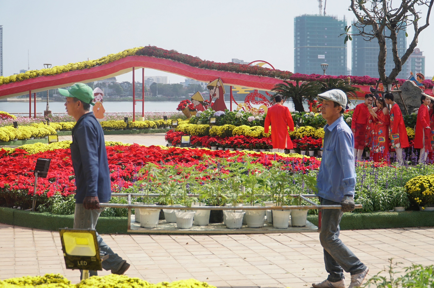 Ngắm linh vật rắn vàng và đường hoa xuân ở Đà Nẵng - Ảnh 9