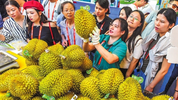 Sầu riêng Việt Nam được bày bán tại Hội chợ triển lãm Trung Quốc - ASEAN lần thứ 21 tại Nam Ninh, tỉnh Quảng Tây, Trung Quốc. Ảnh: China Daily