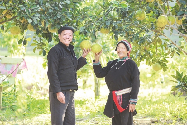 Già làng Lý Đại Thông chia sẻ về quá trình ông gây dựng nghề trồng cây ăn quả tại địa phương. Ảnh: Vũ Mừng