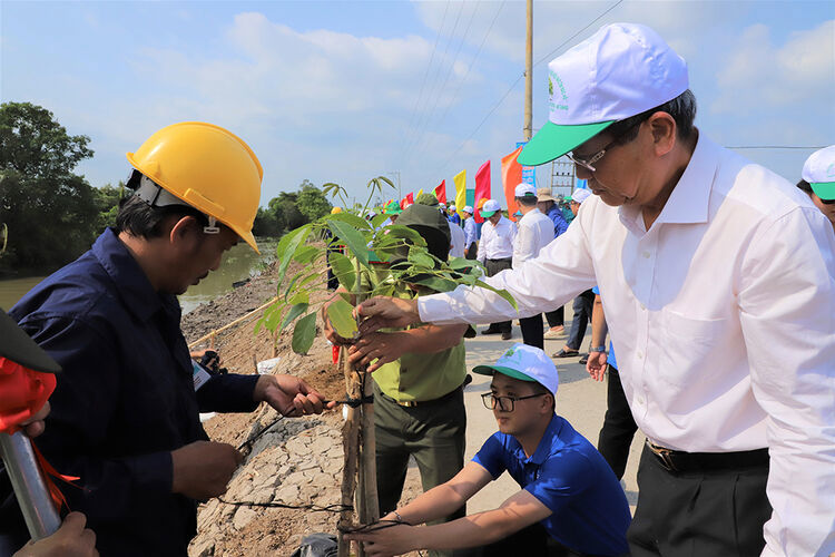 Mùa Xuân là Tết trồng cây, Làm cho đất nước càng ngày càng Xuân. Ảnh: Thu Thảo