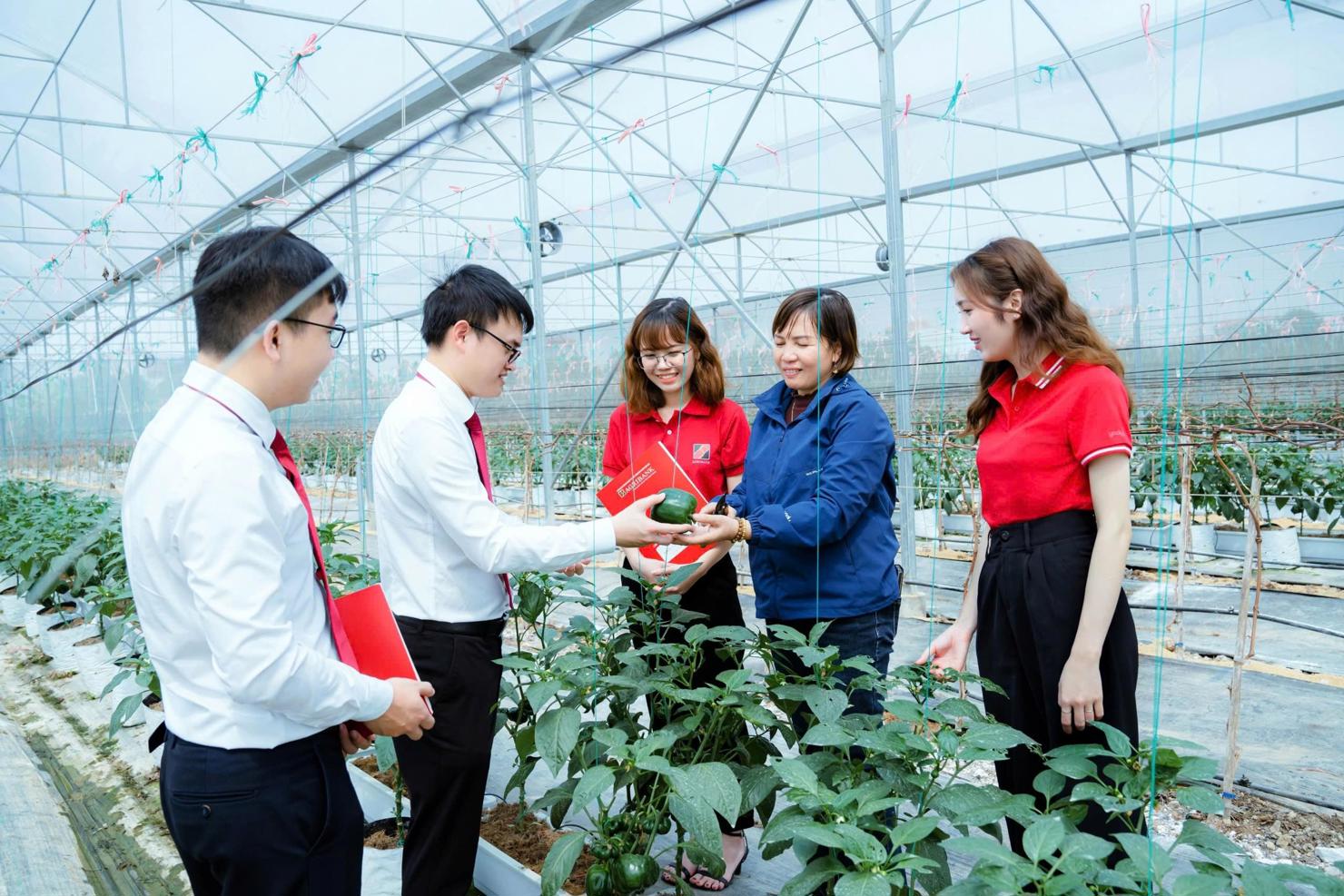 Gói vay ưu đãi về “Tín dụng xanh” khuyến khích khách hàng đầu tư vào phát triển nông nghiệp công nghệ caovào phát triển nông nghiệp công nghệ cao.
