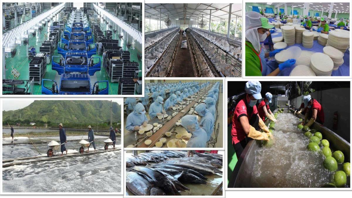 Sự trưởng thành của khu vực tư nhân trong nước là một trong những thành tựu quan trọng nhất của quá trình đổi mới. 