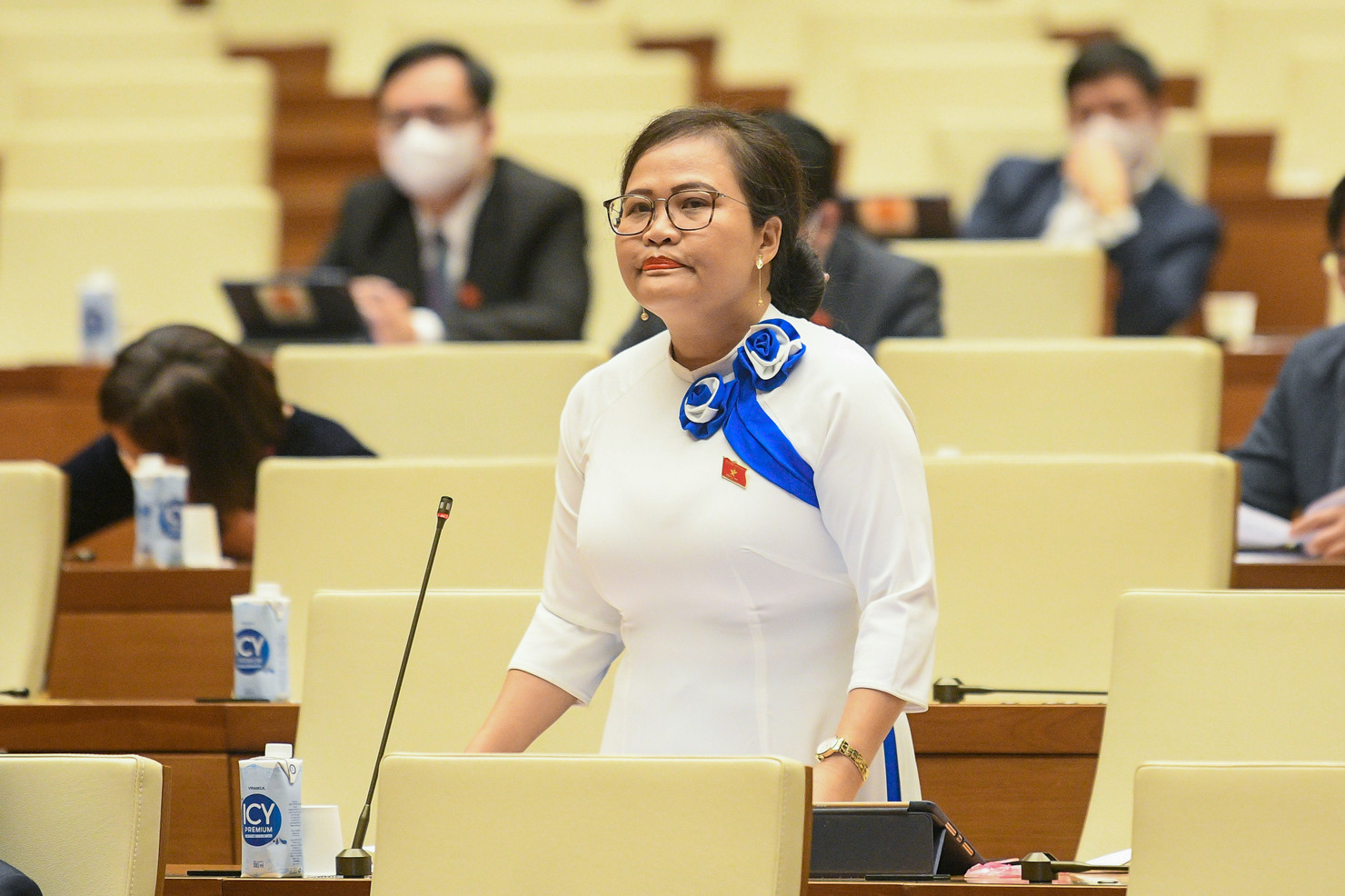 Phó trưởng đoàn chuyên trách Đoàn Đại biểu quốc hội thành phố Huế Nguyễn Thị Sửu