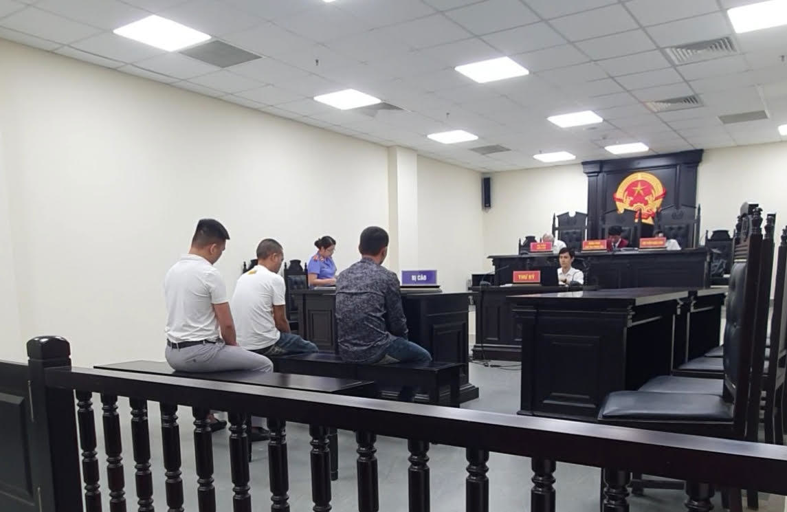 Hình ảnh Cao Xuân Mạnh (áo trắng hàng trên), Nguyễn Văn Bá (áo xanh) và Nguyễn Văn Cung (áo trắng hàng dưới) tại phiên tòa. Ảnh: ENV.