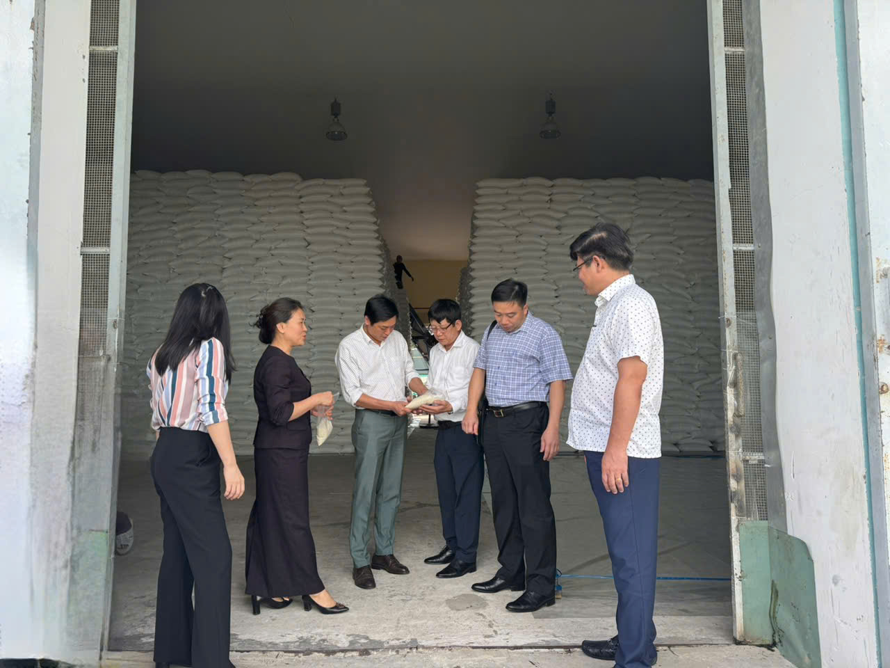 Đoàn công tác Cục DTNN làm việc trực tiếp tại Điểm kho Dự trữ Long An.