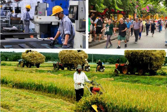 Tính chung sau gần 40 năm đổi mới, tỷ trọng khu vực nông, lâm nghiệp và thủy sản trong GDP giảm 24,9 điểm phần trăm và tốc độ giảm tương đối nhanh so với một số quốc gia trong khu vực.