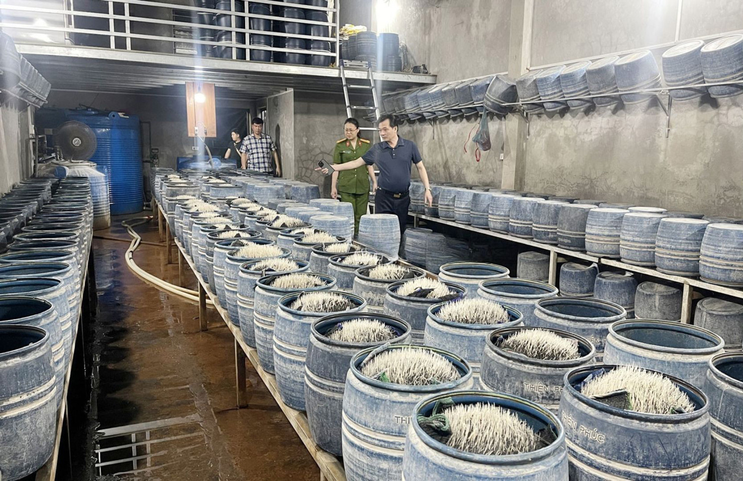 Lực lượng chức năng kiểm tra khu vực sản xuất giá đỗ của gia đình ông Lưu Văn Vẽ. Ảnh: Công an tỉnh Lào Cai.