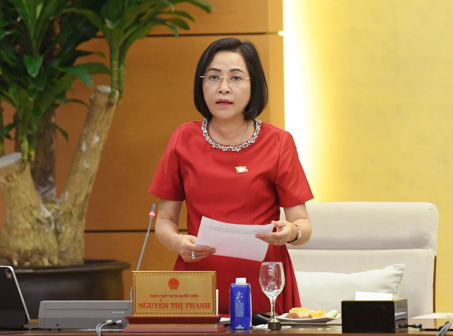 Phó Chủ tịch Quốc hội Nguyễn Thị Thanh phát biểu. Ảnh: Lâm Hiển