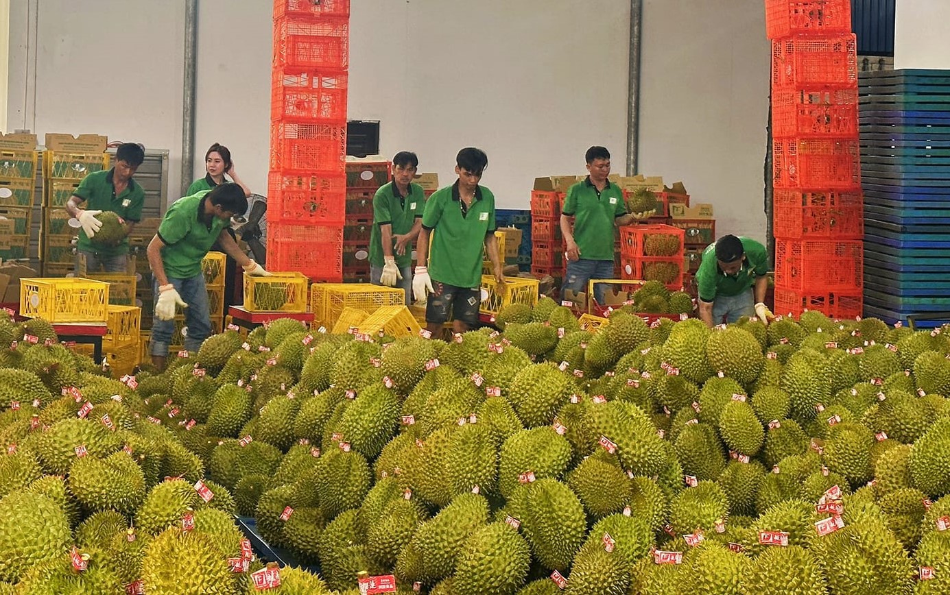 Bên cạnh tuân thủ các quy định ngay từ đầu để bảo vệ mình thì các DNNVV rất cần sự hỗ trợ của liên bộ ngành để tránh gặp phải các rủi ro trong xuất khẩu nông sản qua biên giới