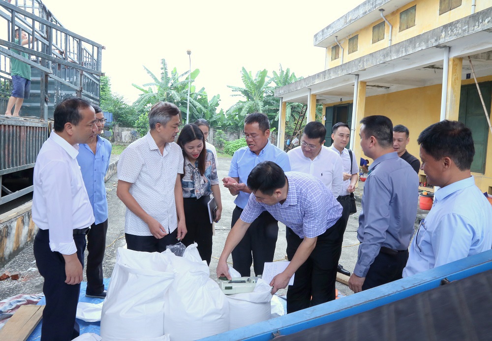 Cục trưởng Bùi Tuấn Minh cùng các thành viên trong Đoàn công tác của Cục DTNN kiểm tra chất lượng gạo nhập kho dự trữ tại điểm kho Từ Liêm.