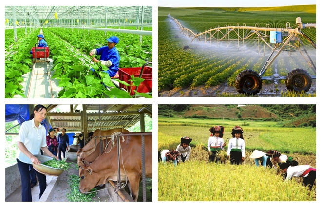 Chính phủ thành lập Ban Chỉ đạo Trung ương các chương trình mục tiêu quốc gia giai đoạn 2021 - 2025 .