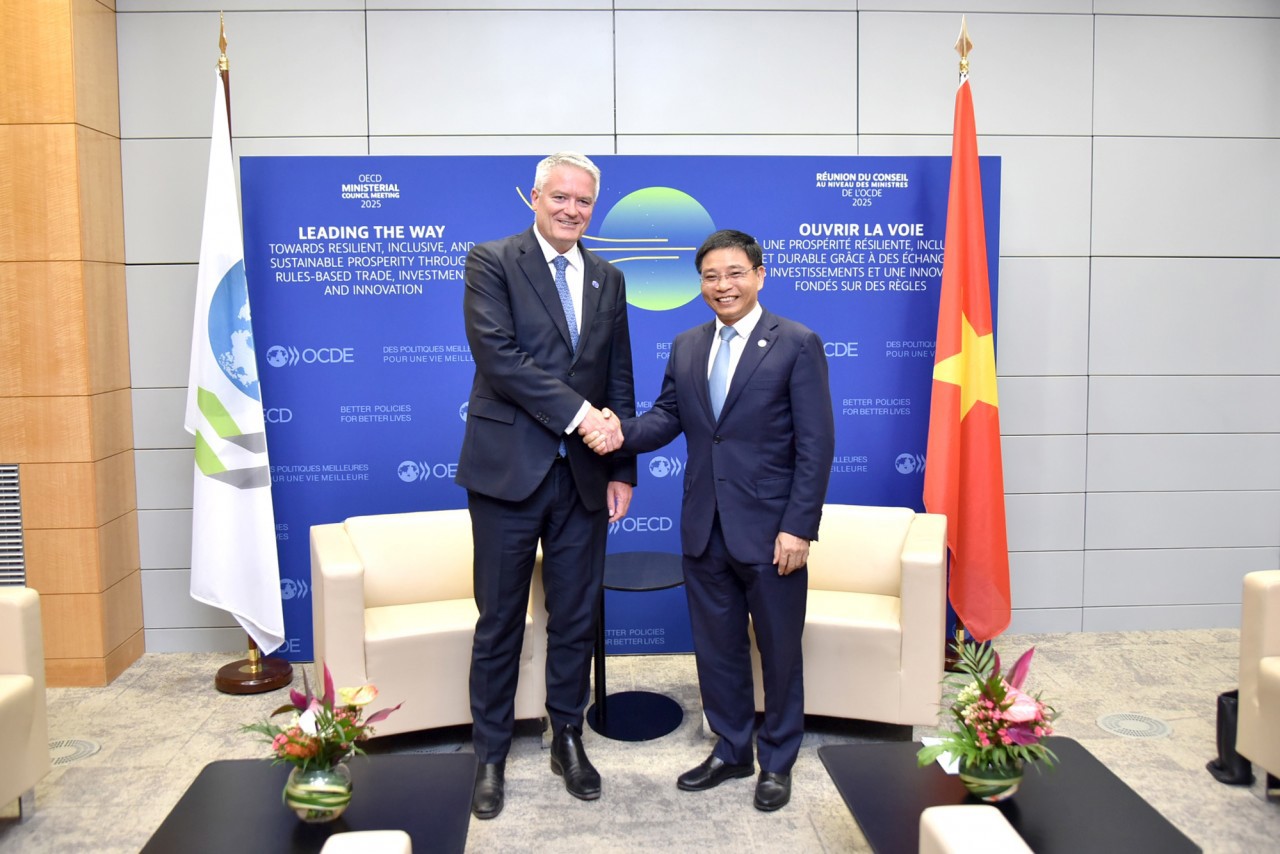 Bộ trưởng Bộ Tài chính Việt Nam Nguyễn Văn Thắng hội kiến Tổng Thư ký OECD Mathias Cormann.