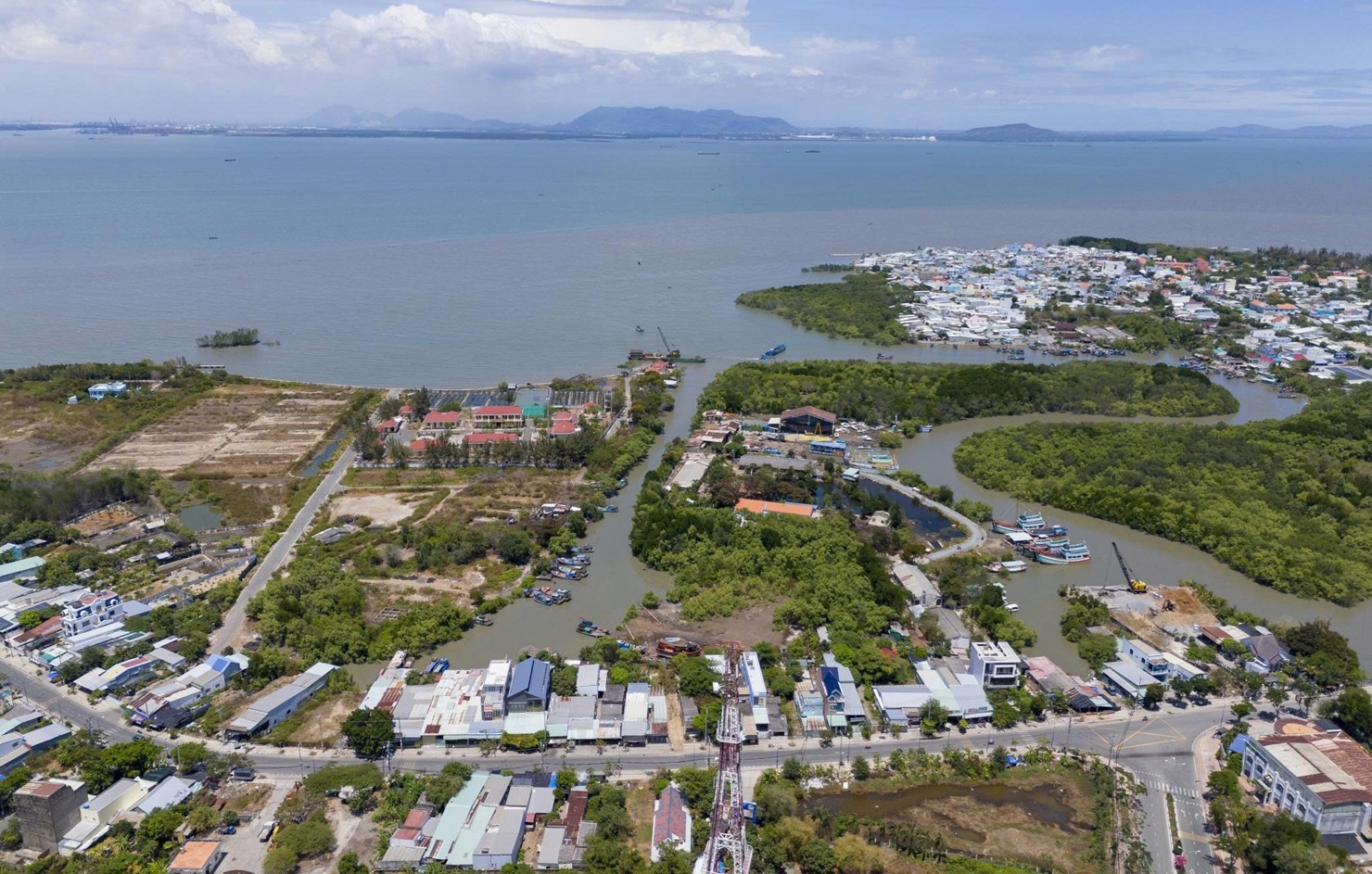 TP. Hồ Chí Minh đặt mục tiêu phát triển Cần Giờ xanh - Ảnh 1