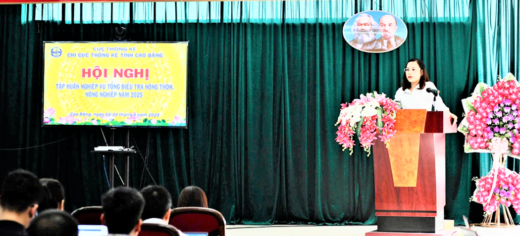 Bà Phạm Thị Phương - Chi cục trưởng Chi cục Thống kê tỉnh Cao Bằng, Phó Trưởng ban Thường trực phát biểu chỉ đạo Hội nghị.