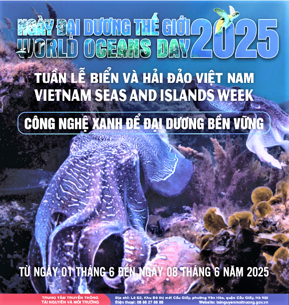 Việt Nam cam kết hành động vì đại dương xanh, - Ảnh 2