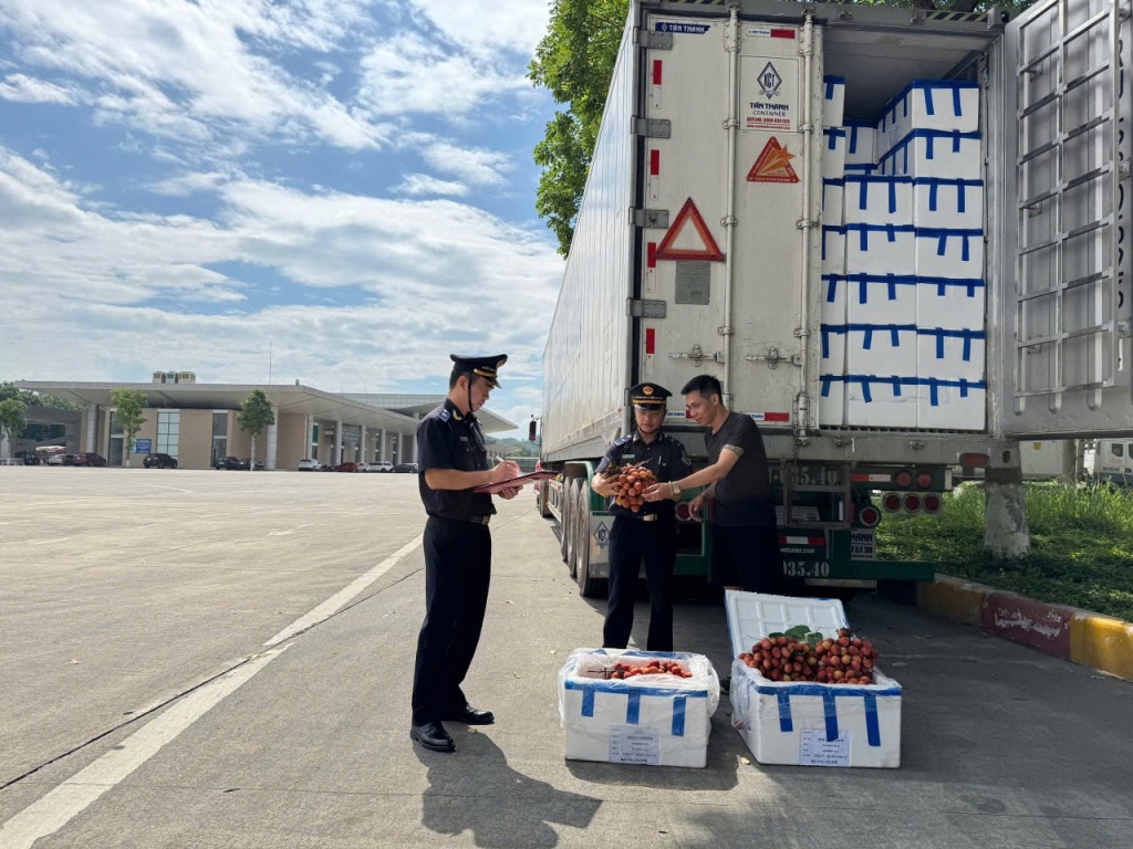 Việc thông quan, xuất khẩu vải thiều Bắc Giang qua các cửa khẩu trên địa bàn tỉnh Lào Cai, Lạng Sơn cơ bản thuận lợi, xe vải thiều được đi theo luồng ưu tiên.