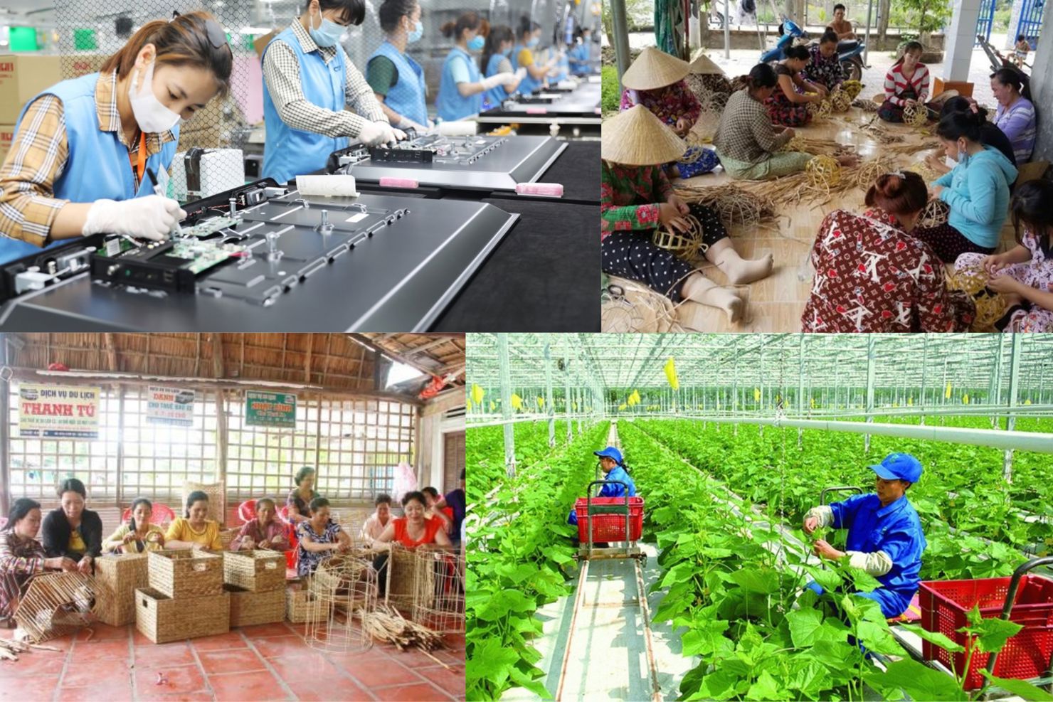 Kết quả Tổng điều tra nông thôn, nông nghiệp năm 2025 là cơ sở đẩy xây dựng chính sách đào tạo nghề cho lao động nông thôn trong thời gian tới