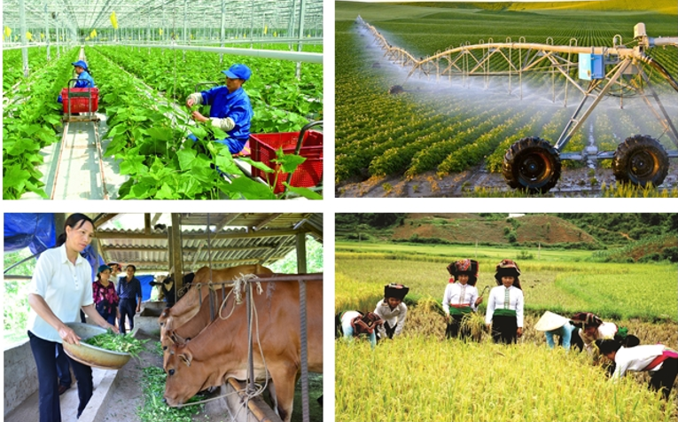 Cuộc Tổng điều tra nhằm thu thập thông tin cơ bản về nông nghiệp, lâm nghiệp, thủy sản và nông thôn