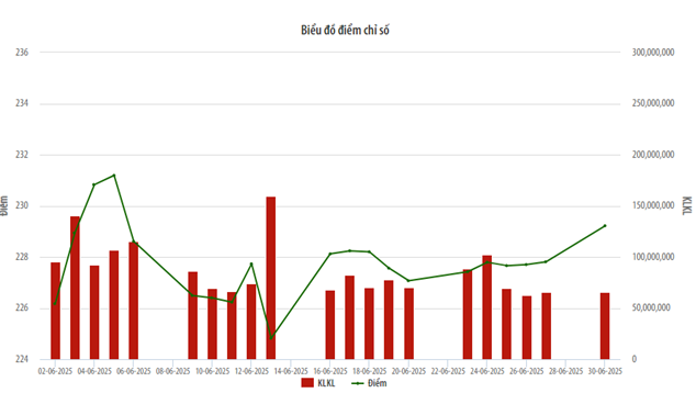 Chỉ số HNX Index sau khi tăng mạnh vào đầu tháng đã giảm vào giữa tháng. Nguồn: HNX