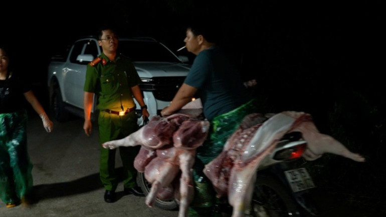 Lực lượng chức năng phát hiện hành vi vận chuyển lợn bệnh mang ra chợ tiêu thụ. Ảnh: Công an TP. Hà Nội.