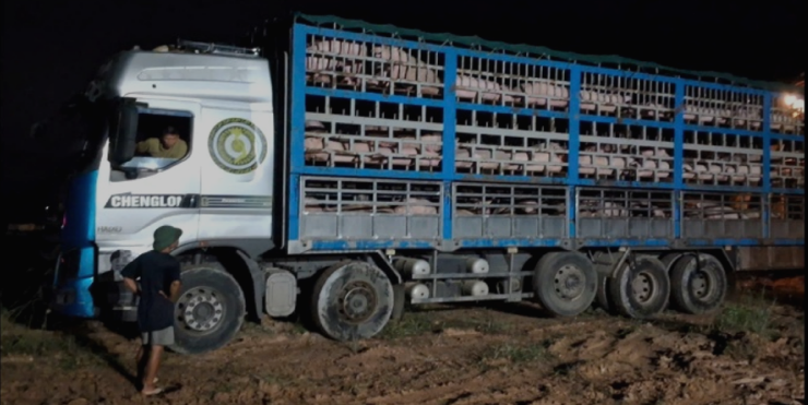 Lực lượng chức năng tiến hành tiêu huỷ.