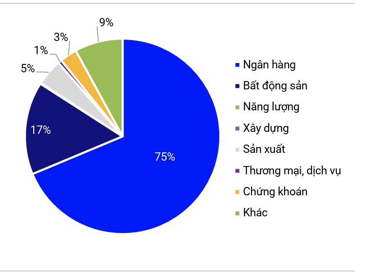 Cơ cấu phát hành theo ngành trong 6 tháng đầu năm (%). Nguồn: S&I Ratings
