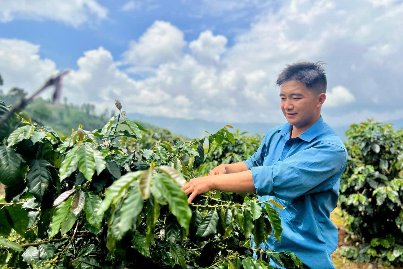 Đo&agrave;n vi&ecirc;n Gi&agrave;ng A S&agrave;i vượt kh&oacute;, l&agrave;m c&agrave; ph&ecirc; tr&ecirc;n n&uacute;i đồi T&acirc;y Bắc.