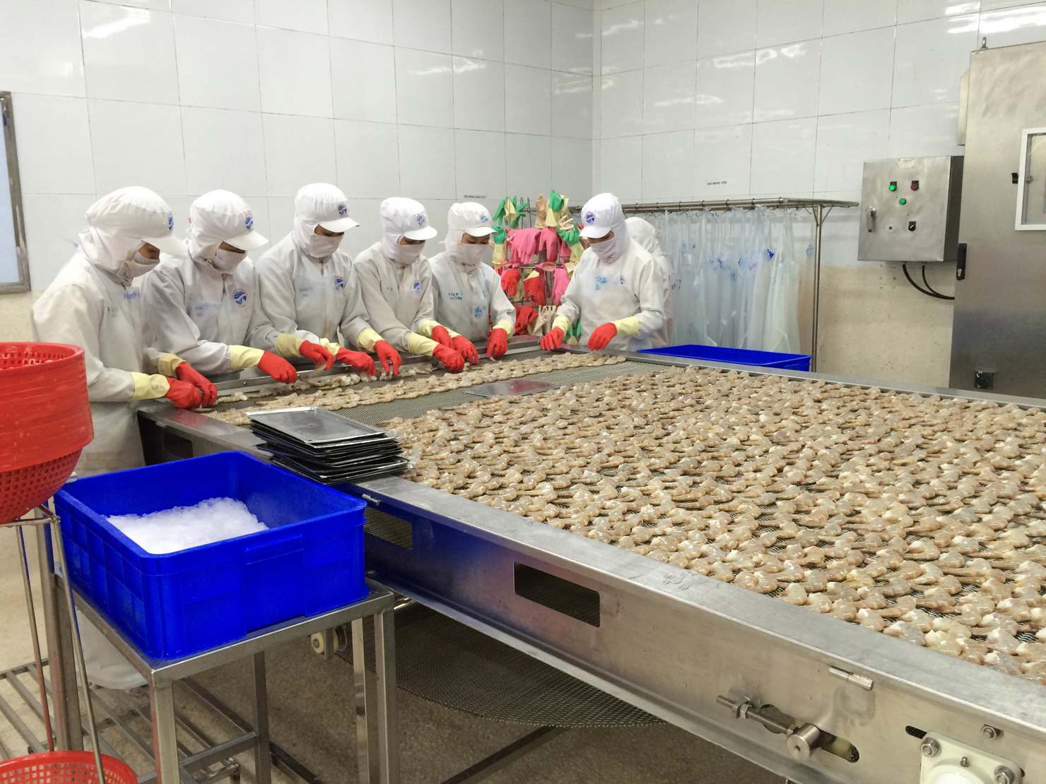 Doanh nghiệp chế biến thủy sản xuất khẩu